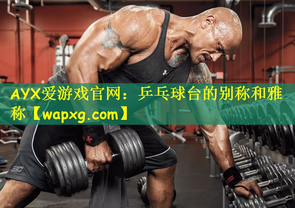 AYX爱游戏官网:乒乓球台的别称和雅称