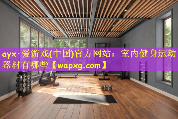 ayx·爱游戏(中国)官方网站:室内健身运动器材有哪些