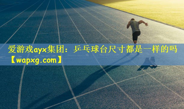 爱游戏ayx集团:乒乓球台尺寸都是一样的吗