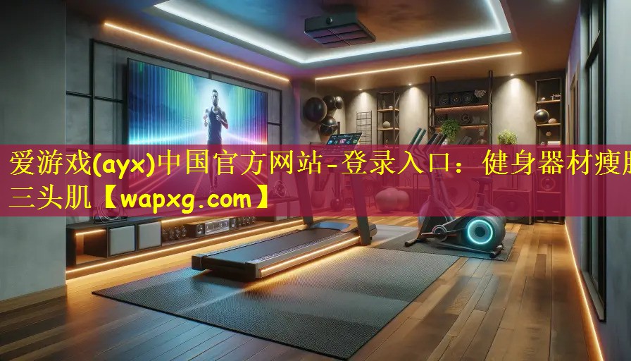 爱游戏(ayx)中国官方网站-登录入口:健身器材瘦肱三头肌