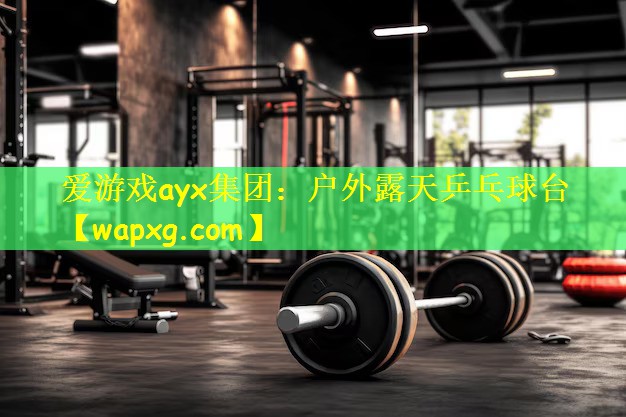 爱游戏ayx集团:户外露天乒乓球台