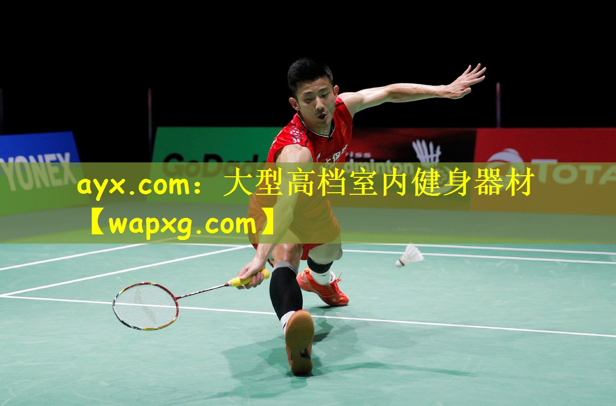 ayx.com:大型高档室内健身器材