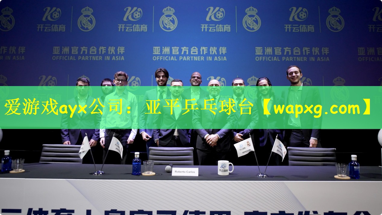 爱游戏ayx公司:亚平乒乓球台