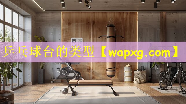 乒乓球台的类型