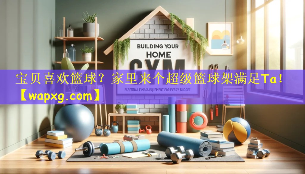 宝贝喜欢篮球?家里来个超级篮球架满足Ta!