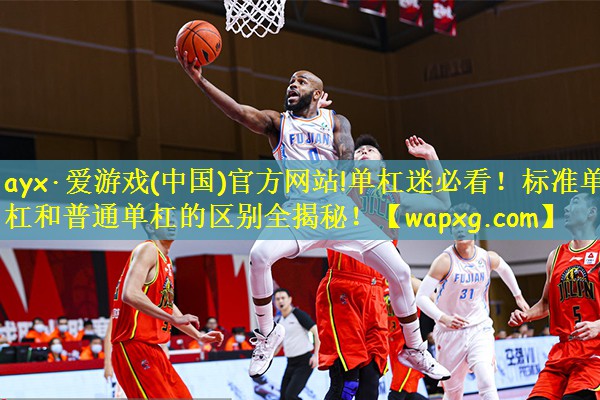 ayx·爱游戏(中国)官方网站!单杠迷必看!标准单杠和普通单杠的区别全揭秘!
