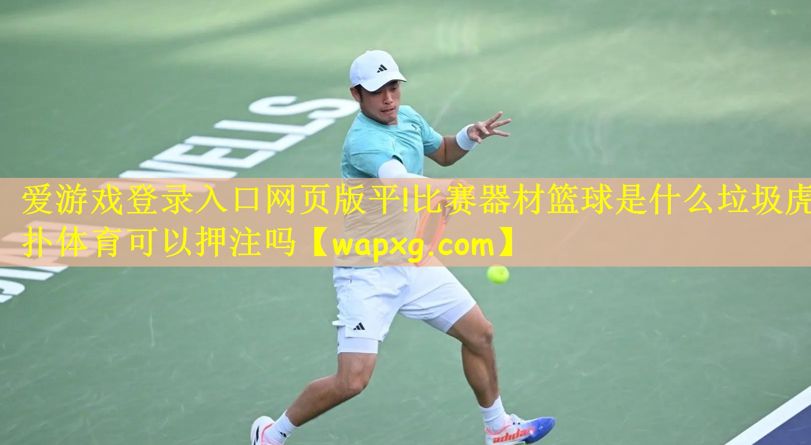 爱游戏登录入口网页版平!比赛器材篮球是什么垃圾虎扑体育可以押注吗