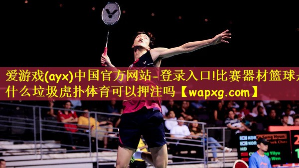 爱游戏(ayx)中国官方网站-登录入口!比赛器材篮球是什么垃圾虎扑体育可以押注吗