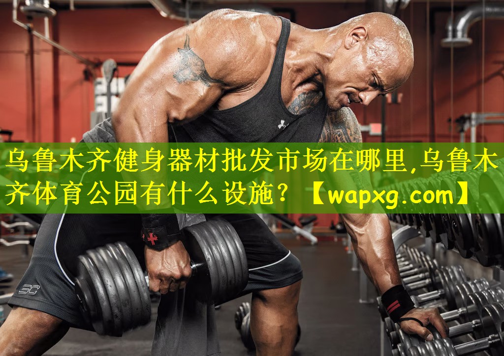 乌鲁木齐健身器材批发市场在哪里,乌鲁木齐体育公园有什么设施?