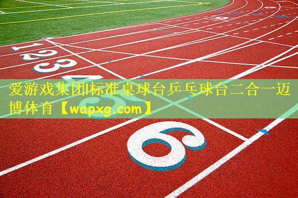 爱游戏集团!标准桌球台乒乓球台二合一迈博体育