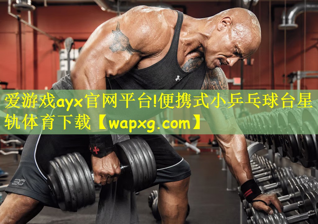 爱游戏ayx官网平台!便携式小乒乓球台星轨体育下载