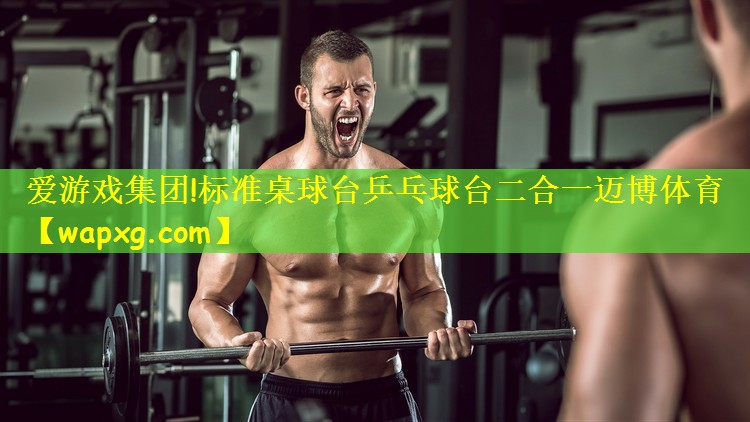 爱游戏集团!标准桌球台乒乓球台二合一迈博体育