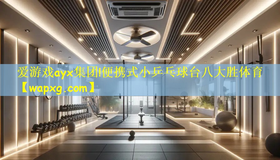 爱游戏ayx集团!便携式小乒乓球台八大胜体育
