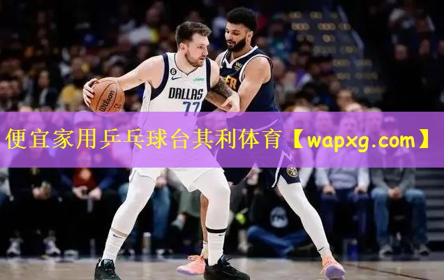 便宜家用乒乓球台其利体育