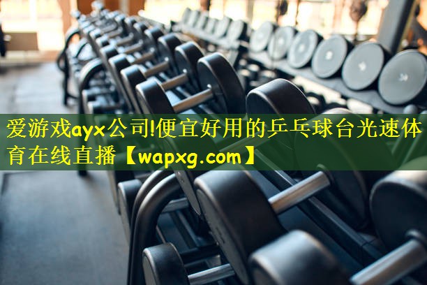爱游戏ayx公司!便宜好用的乒乓球台光速体育在线直播