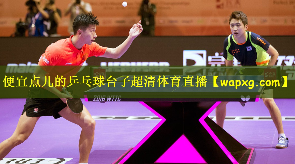 便宜点儿的乒乓球台子超清体育直播