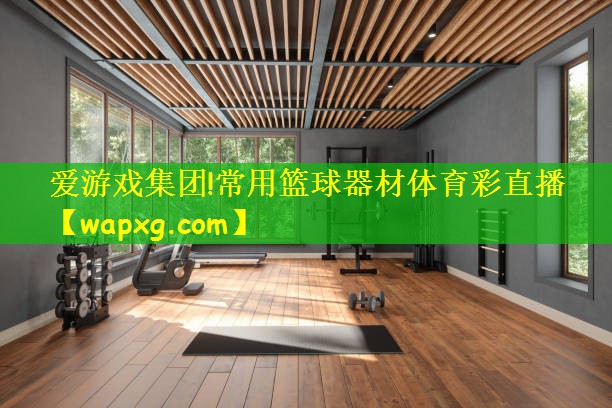 爱游戏集团!常用篮球器材体育彩直播