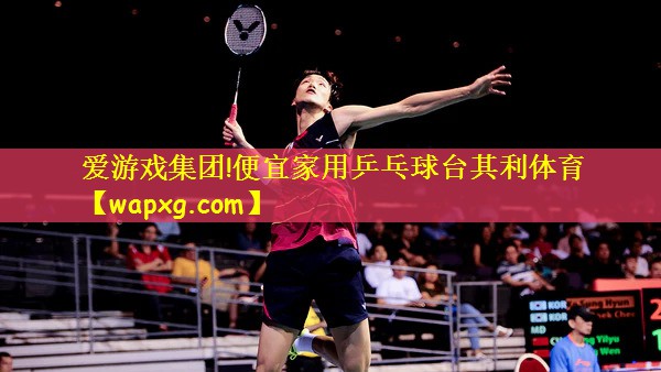 爱游戏集团!便宜家用乒乓球台其利体育