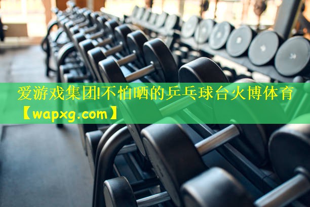 爱游戏集团!不怕晒的乒乓球台火博体育