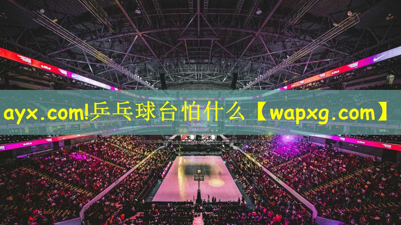 ayx.com!乒乓球台怕什么
