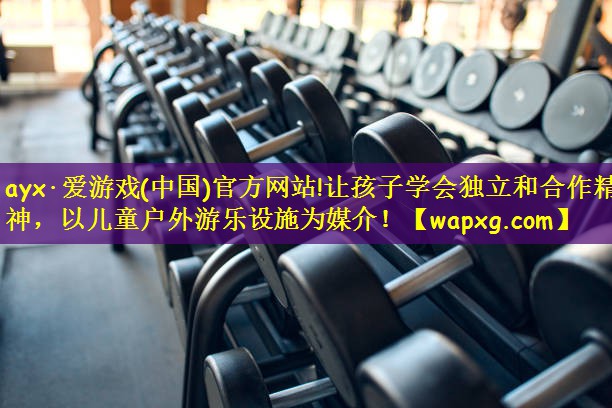 <strong>ayx·爱游戏(中国)官方网站!让孩子学会独立和合作精神，以儿童户外游乐设施为媒介！</strong>