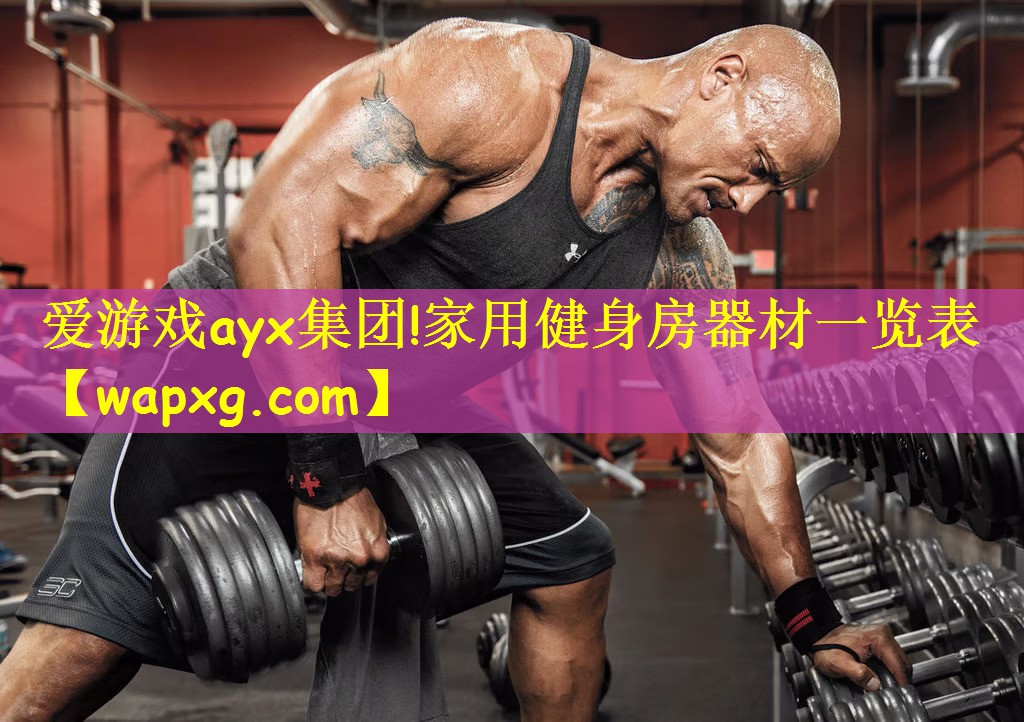 <strong>爱游戏ayx集团!家用健身房器材一览表</strong>