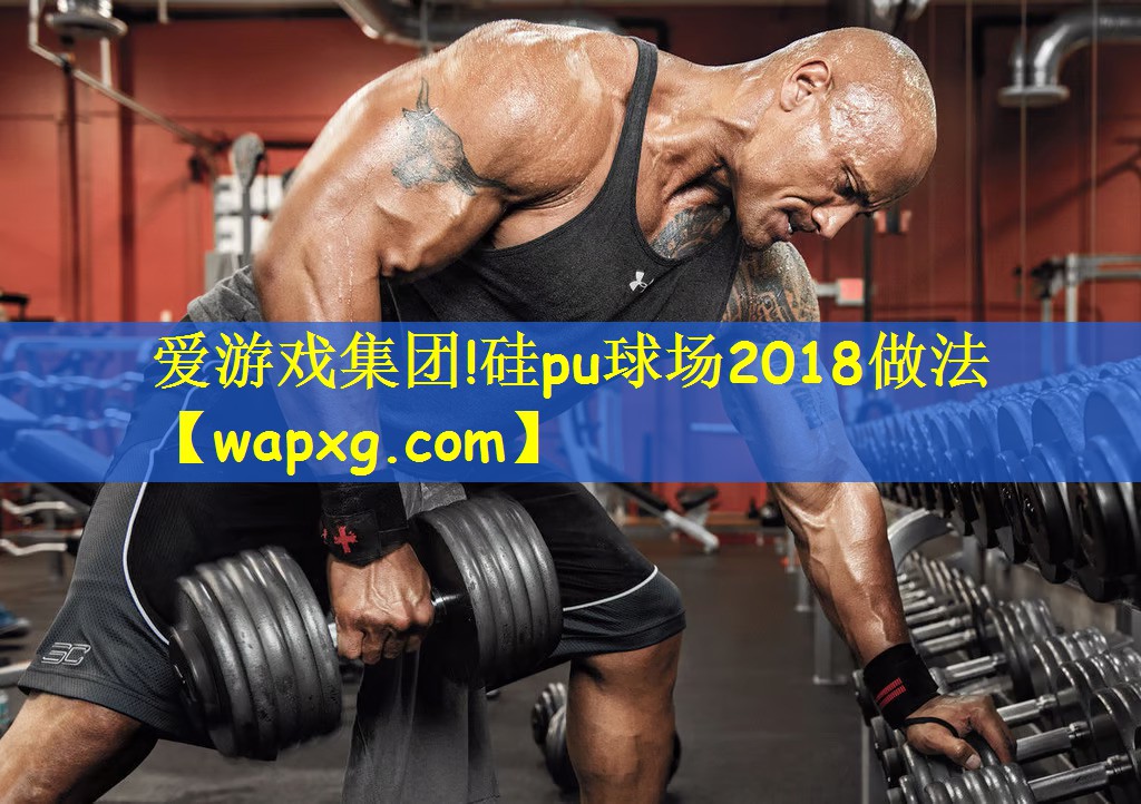爱游戏集团!硅pu球场2018做法