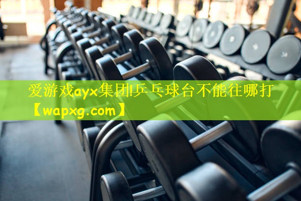 乒乓球台不能往哪打