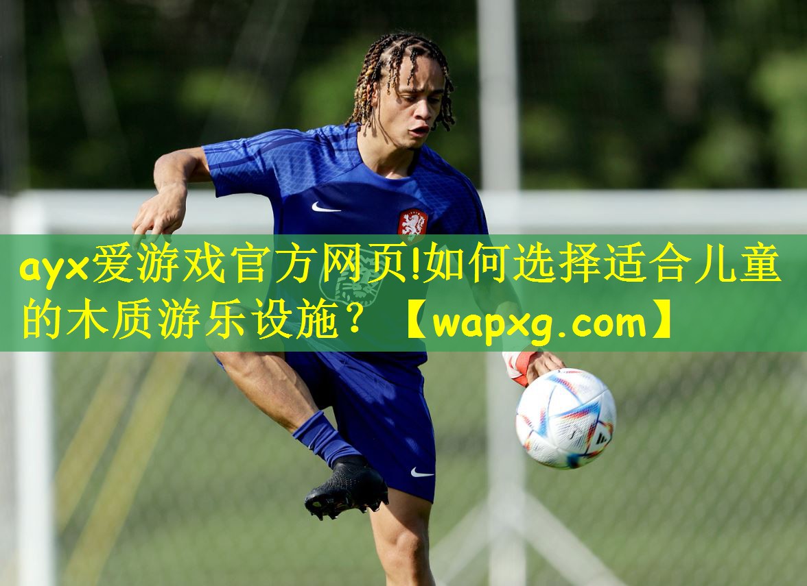 如何选择适合儿童的木质游乐设施？