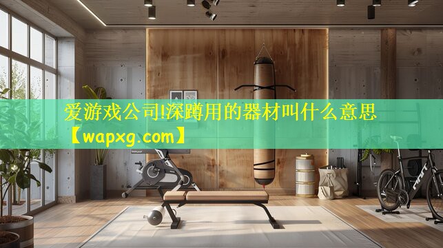 深蹲用的器材叫什么意思